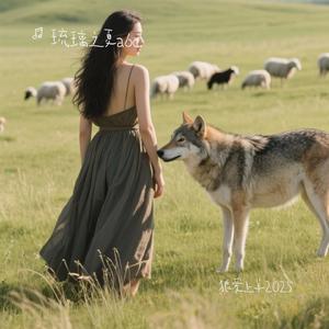 狼爱上羊2025