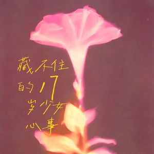 藏不住的17岁少女心事