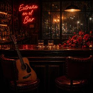 Extraña en el bar