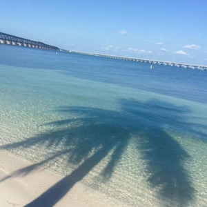 天若有情 (Dj阿正版)