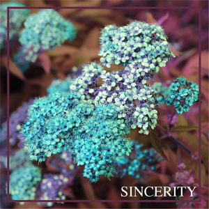 Sincerity