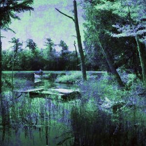 Secrets of the Silver Surface