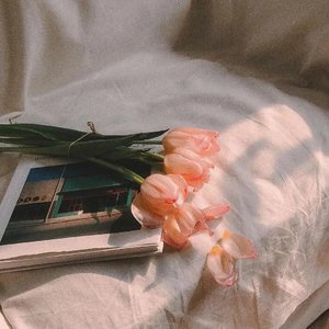 Bir guzalkiz（翻自 XjiSiLwaz）