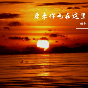 原来你也在这里 (Live)