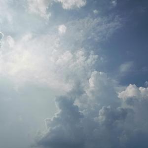 像鱼(治愈男声版)