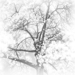 不会回到过去（prod by lyoung）