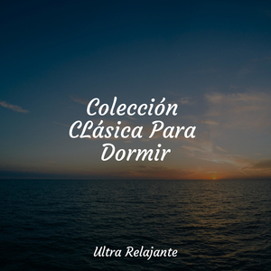 Revolotea en La Brisa