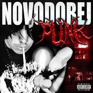 NOVODOBEJ PUNK