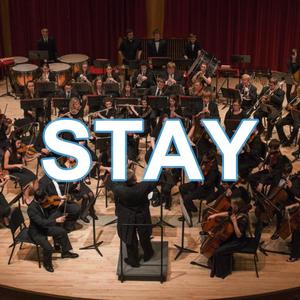 STAY（交响乐版 short ver）