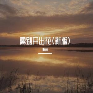 离别开出花（新版） 伴奏