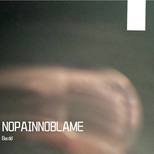 NOPAINNOBLAME(prod.Ninez)