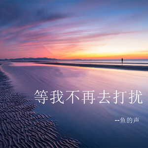 等我不再去打扰