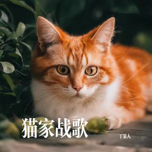 猫家荣耀战歌
