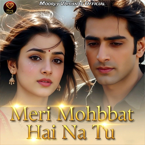 Meri Mohbbat Hai Na Tu
