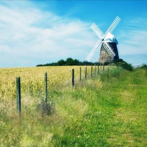 甘心情愿（cover:郭峰）