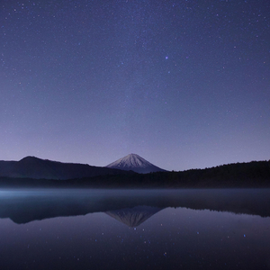 Everything Will Be Alright