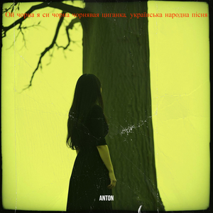 Ой чорна я си чорна чорнявая циганка. українська народна пісня