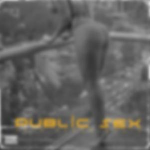 Public Sex