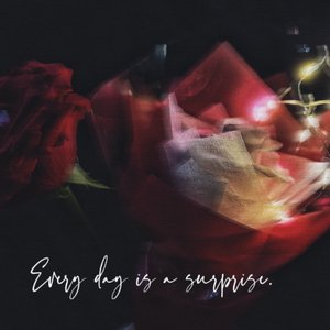 我的喜欢很直白