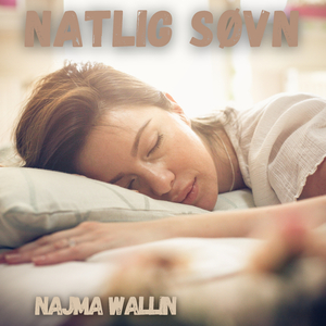 Natlig Søvn
