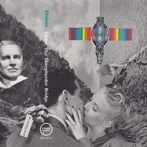 Jim Morrison Was a Cactus Full of Bees