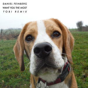 Want You the Most (Tobi Remix)