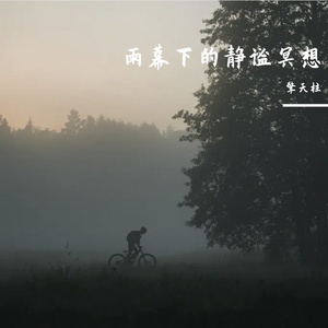 雨幕下的静谧冥想