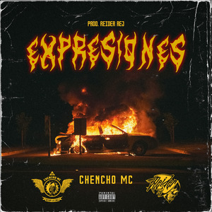 Expresiones