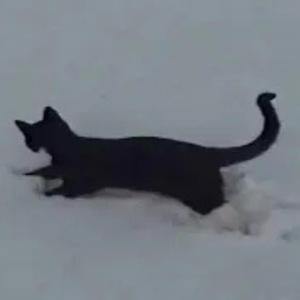 you can go outside, we'll stay here where it's warm