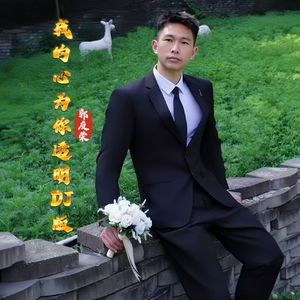 我的心为你透明DJ版