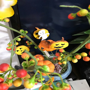 kasha kasha (Instrumental)