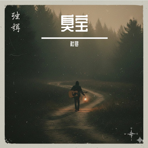 囚在壳里的灿烂