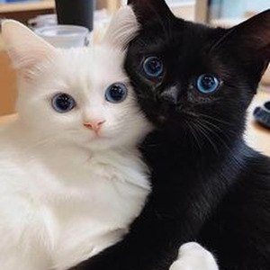 Scary Movies (slowed)