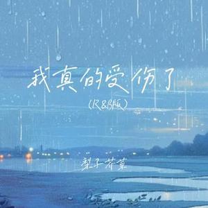 我真的受伤了 (R&B版)