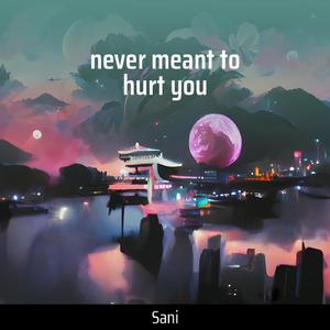 Never Meant to Hurt You