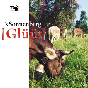 Kühe und Rinder mit Schellen und Bläss (Alp Blattendürren, Urnäsch AR, 1070 MüM, 21.30 Uhr)