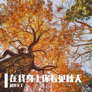《在我身上你看见秋天》