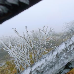 《等不到确定回复》