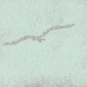 白鸟过河滩（翻自 洛天依）