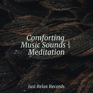 Enchanted Gleam Dance