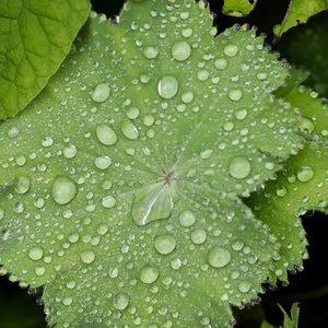 If you have been too caught up in the Beta State for an extended period of time chances are good that you forgot what your natural emotions feel like