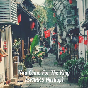 ThisIsWhatYouCameFor / TheKing (SPARKS Mashup)