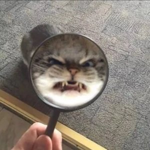 近我者甜 (cover: 猫扑风铃)