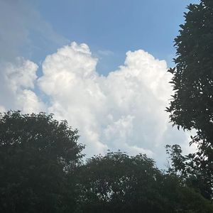 礼物（玉玉版）