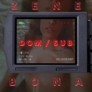Dom/sub