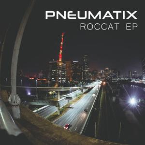 Wood Coated Aluminium Foil