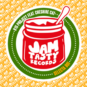 Selecta Boi (Original Mix)