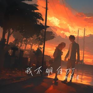 我不明白