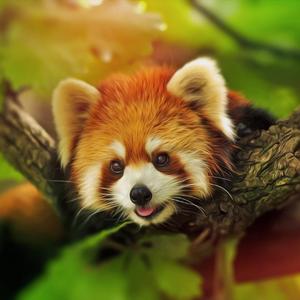 一首青春的赞歌