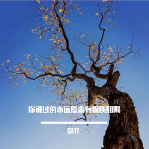 何来永远可言
